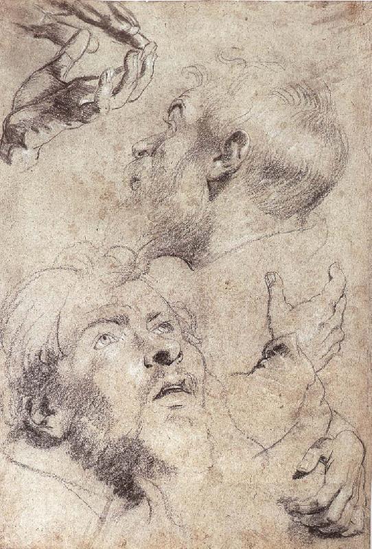 Peter Paul Rubens Four hand and two man-s head portrait China oil painting art